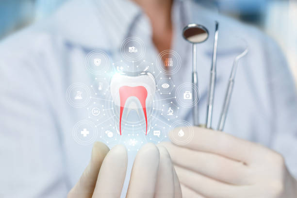 Trusted Kendall, FL  Holistic Dental Services Experts
